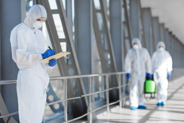 Best Mold-Related Health Consultation  in Marietta Alderwood, WA
