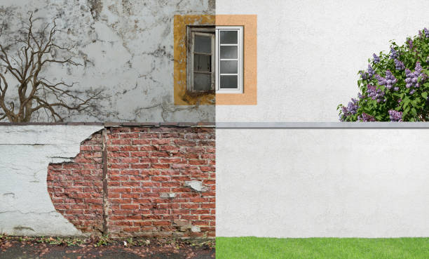 Best Forensic Mold Investigation  in Marietta Alderwood, WA